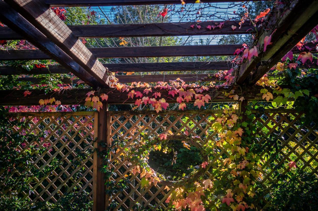 Le Fontanelle Appartement Bagnoregio Buitenkant foto